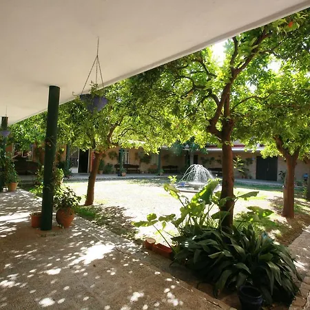 Lantana Garden